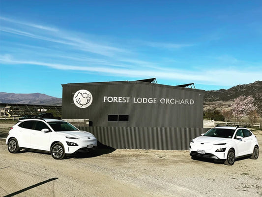 Moving our business to electric vehicles
