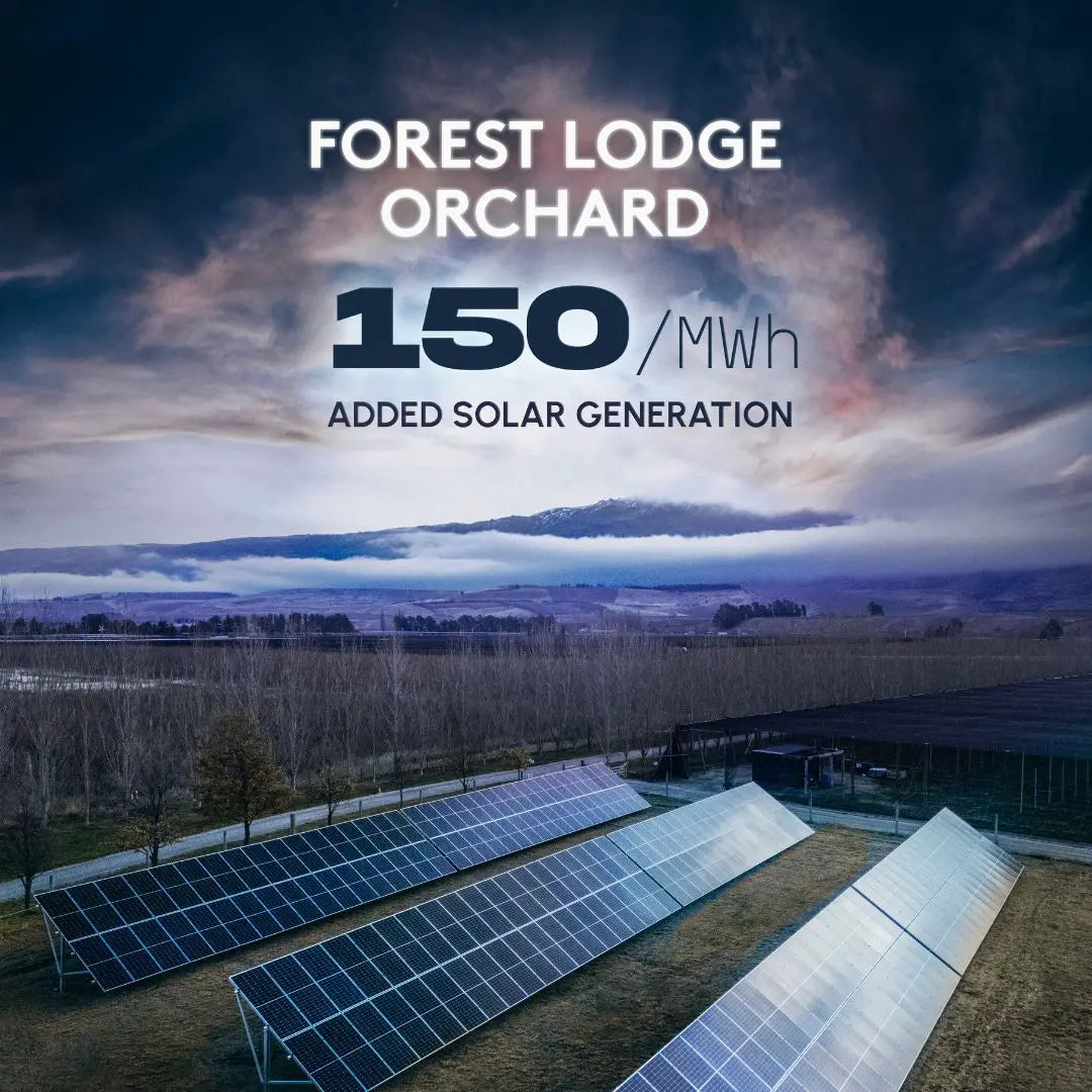 Electric Cherries with a Negative Power Bill