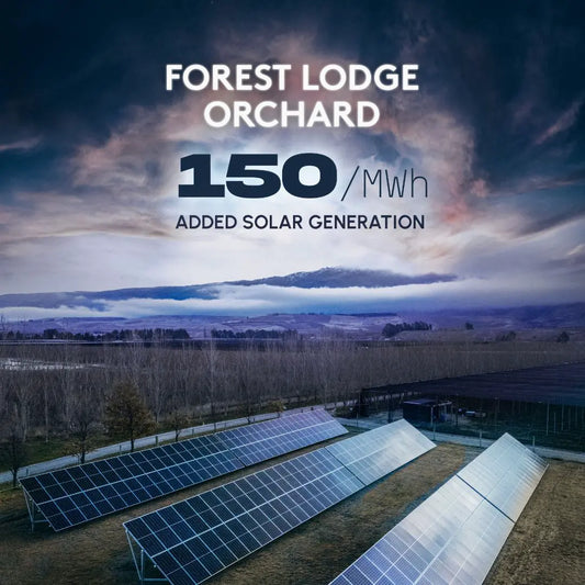 Electric Cherries with a Negative Power Bill