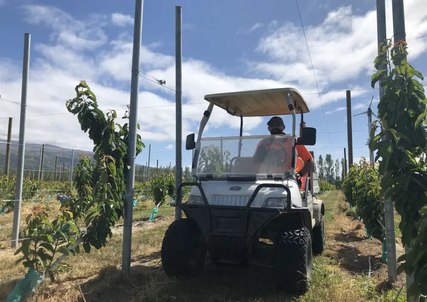 Cromwell innovator launches electric frost fighting system
