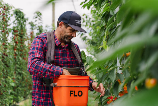 Adopt a Cherry Tree - Our First Season Wrapped!