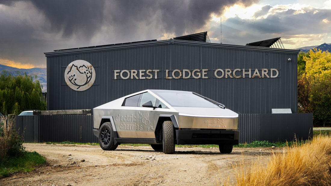 Tesla Cybertruck Rolls Into Forest Lodge Orchard