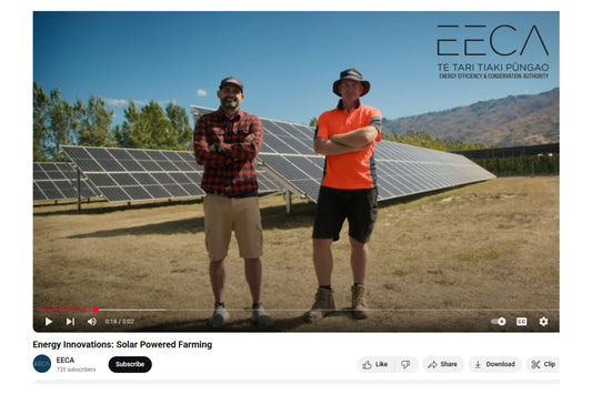 Featured by EECA: Farming with Sunshine