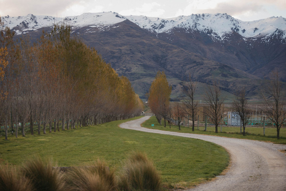 Winter: Rest, Recharge and Ready for Next Season