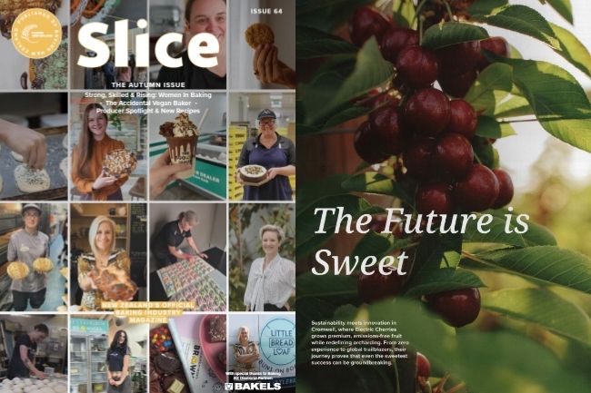 Electric Cherries in Slice Magazine