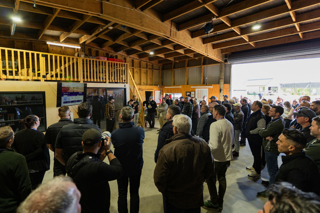 Master Electricians NZ Electrical Conference 2025