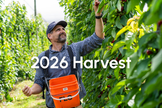 2026 Harvest Recap at Electric Cherries
