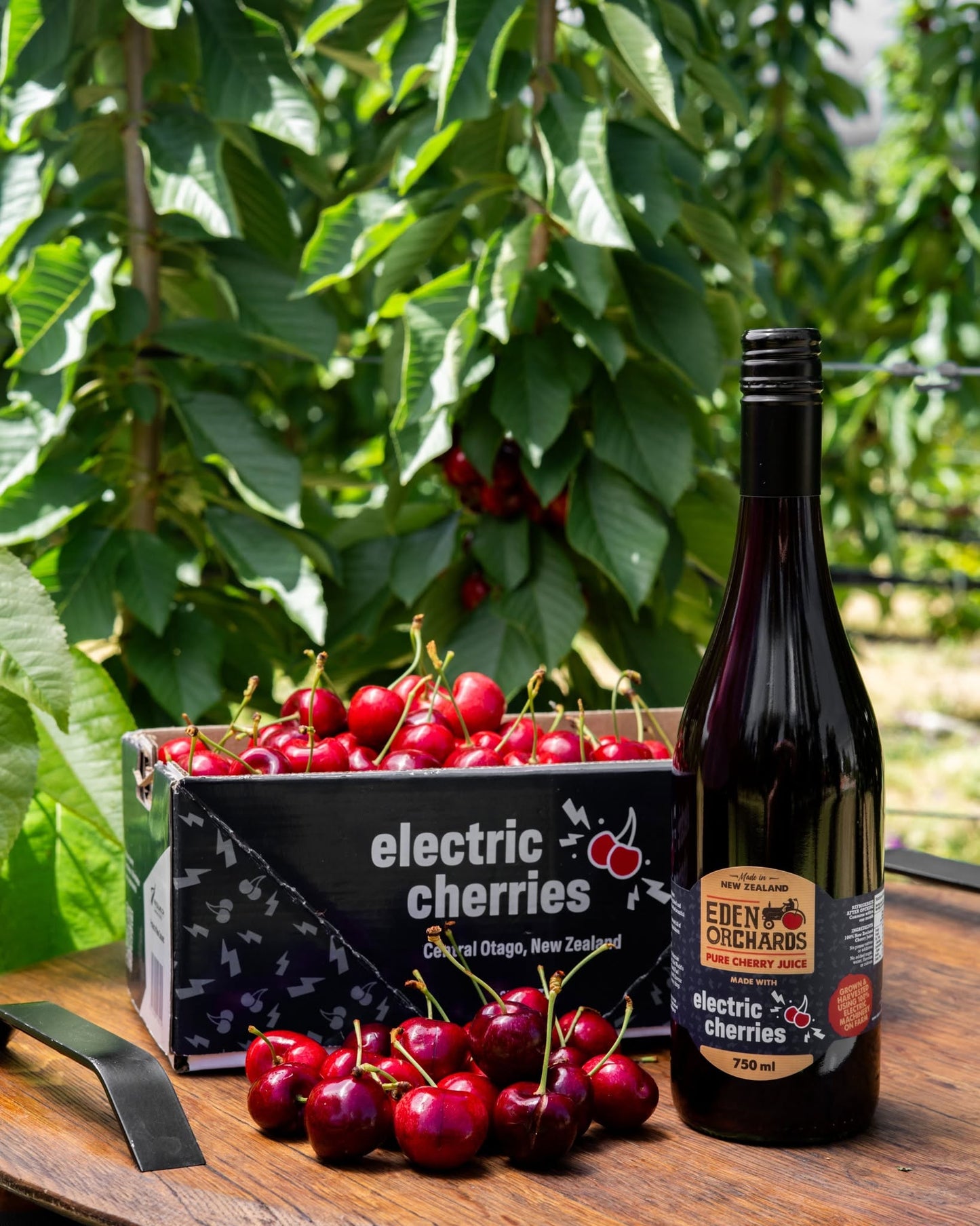 Electric Cherries Gift Card