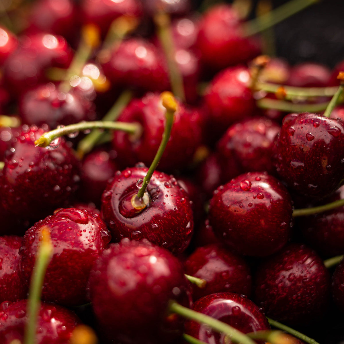 Red Electric Cherries - 1kg
