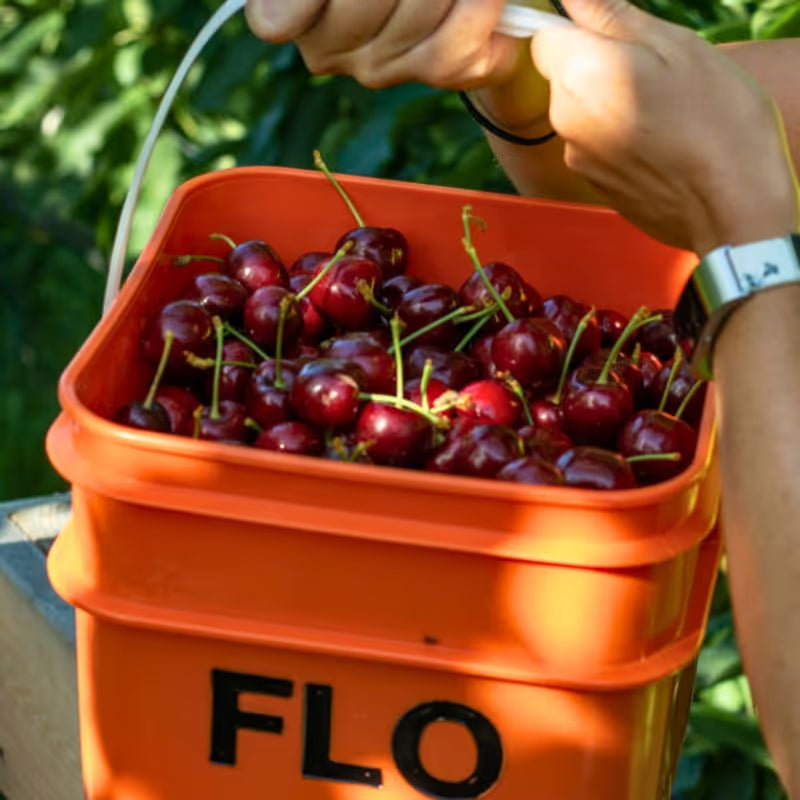 Commercial Harvest