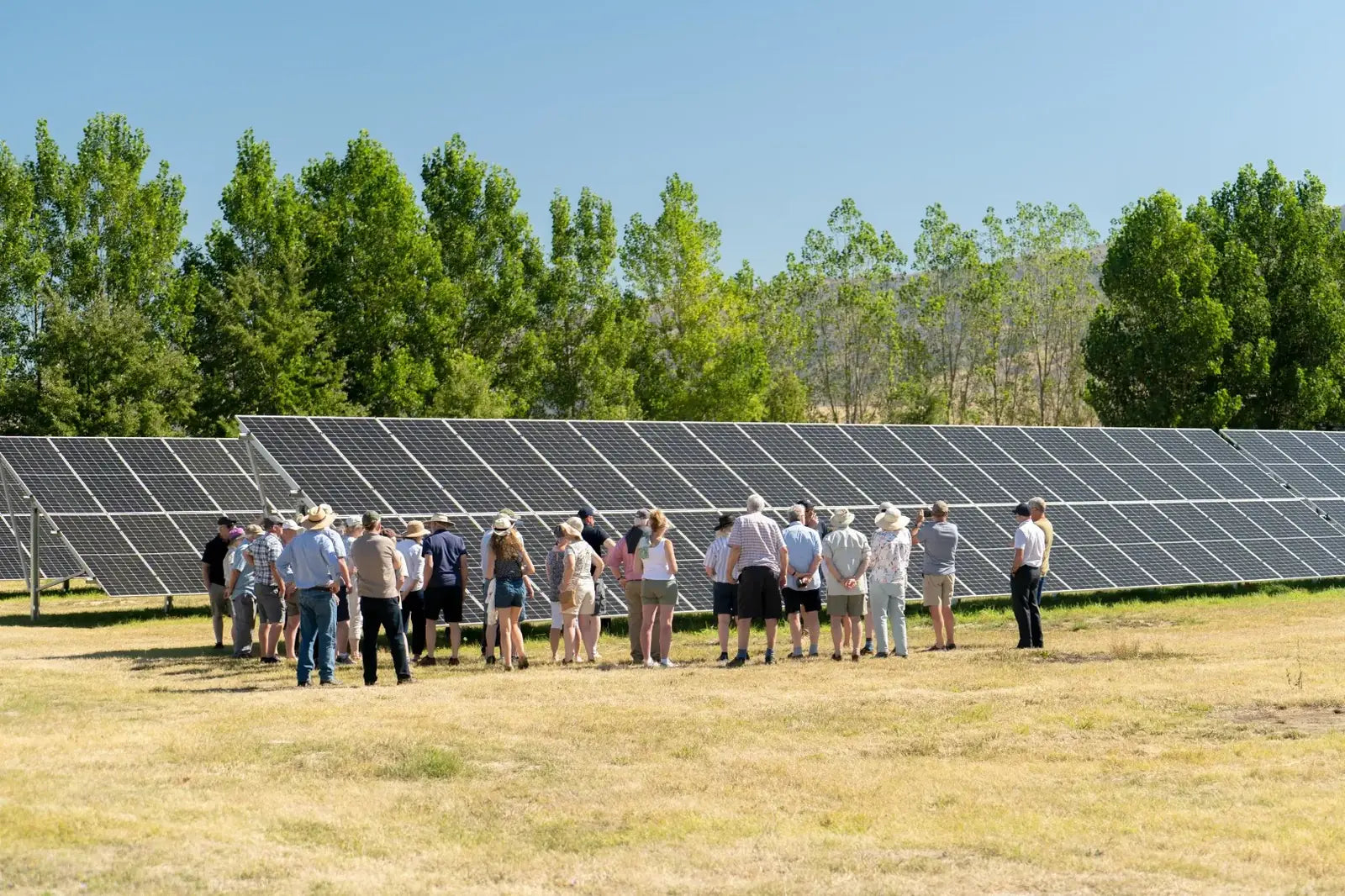 Electric Cherries corporate farm tour